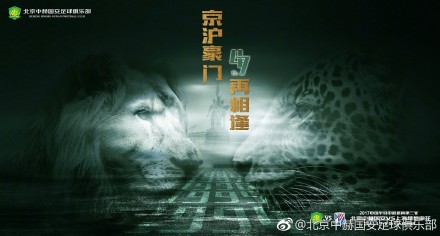 《猫猫