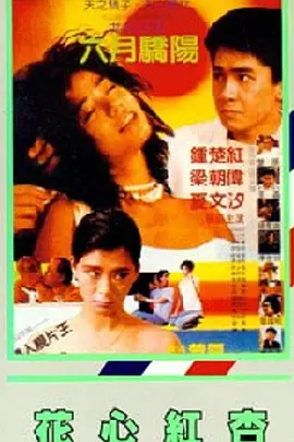 手机在线观看